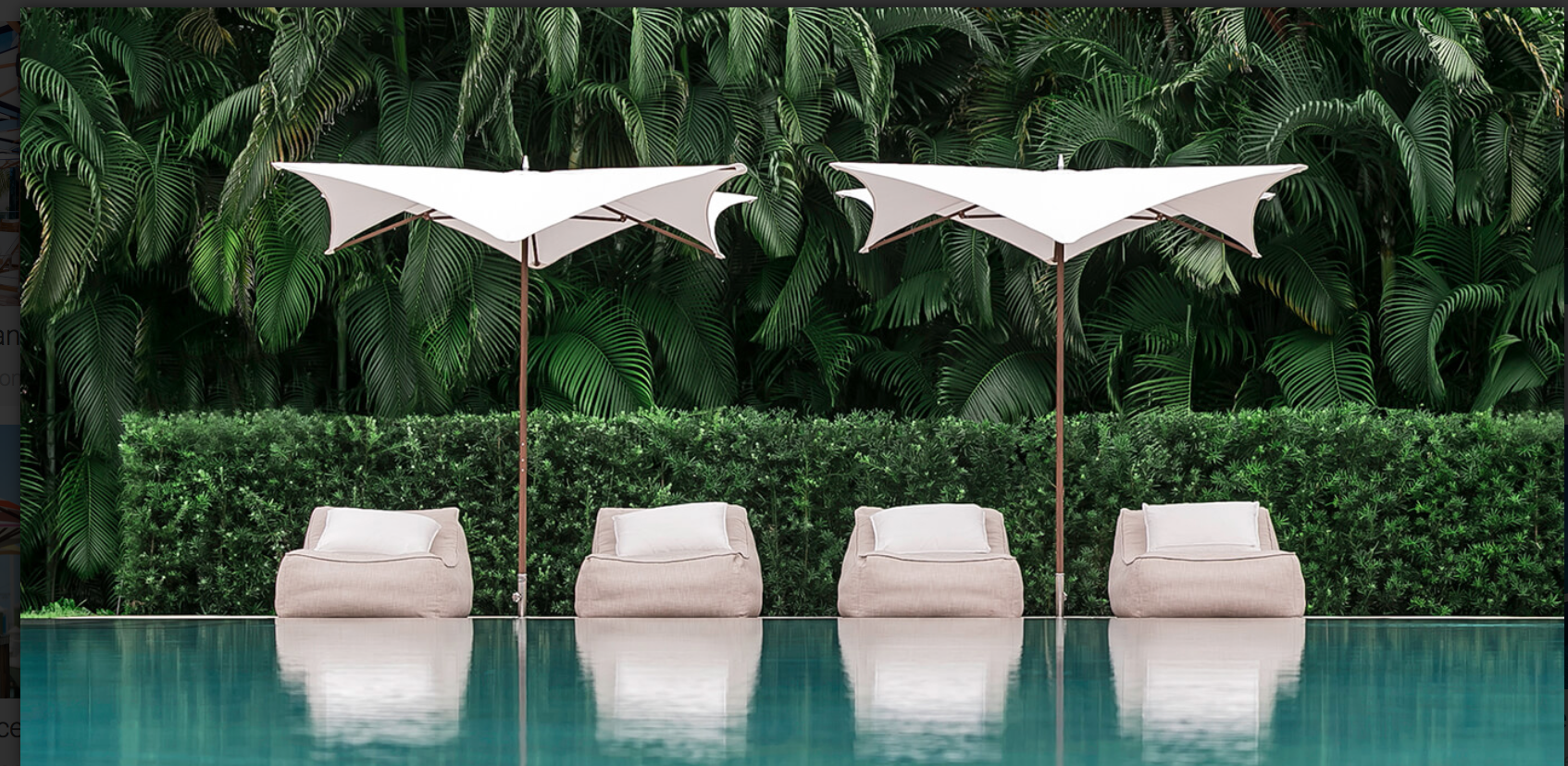 TUCCI Umbrellas Sonoma County