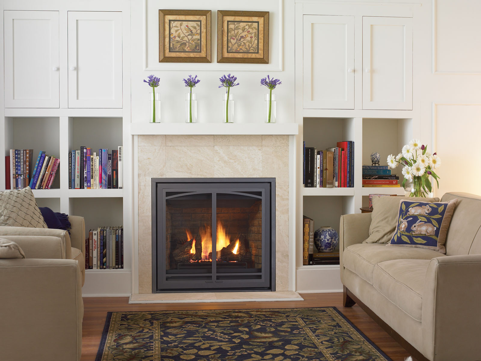 gas Fireplace Inserts Sonoma County