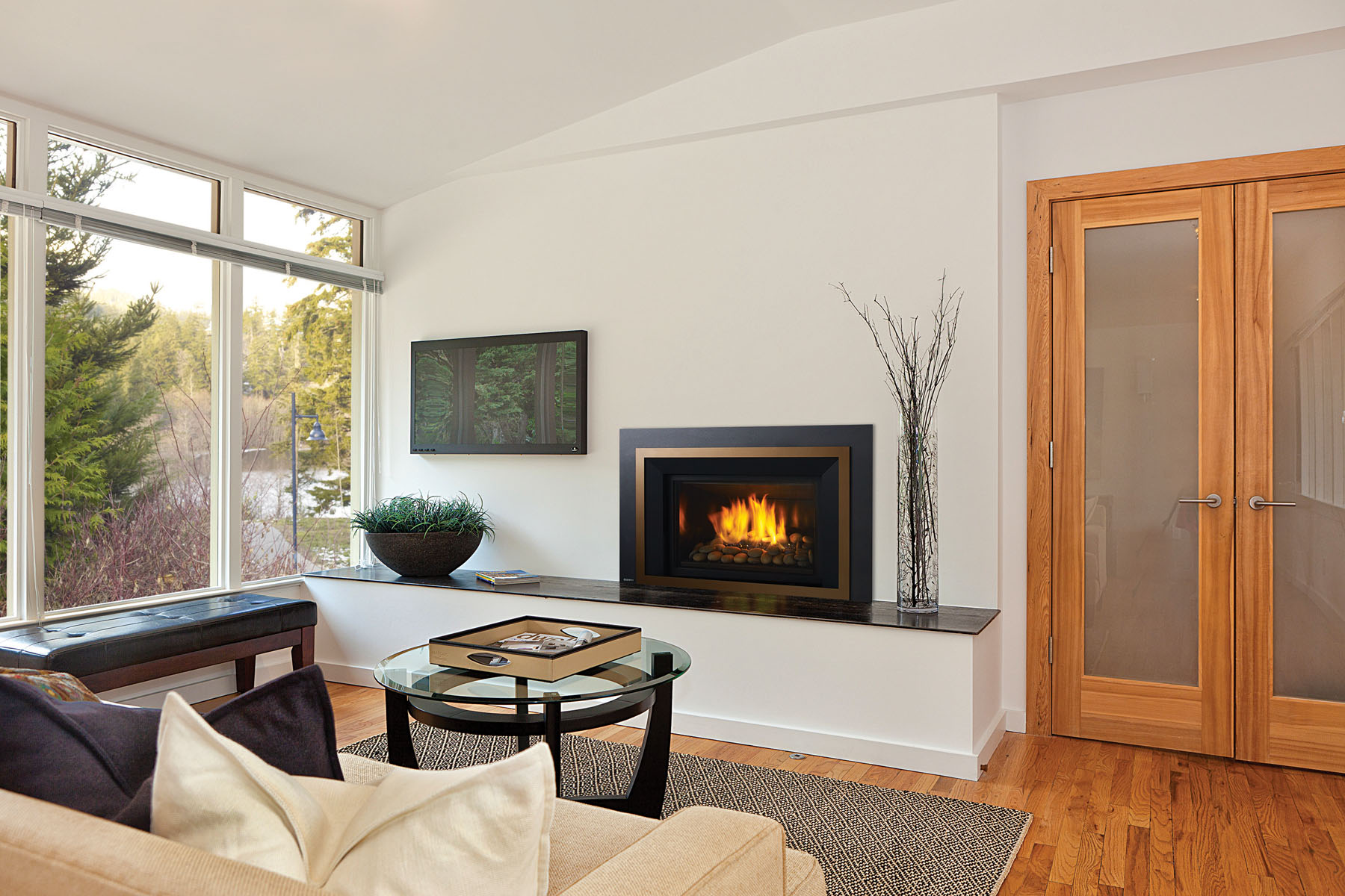 gas Fireplaces Sonoma County
