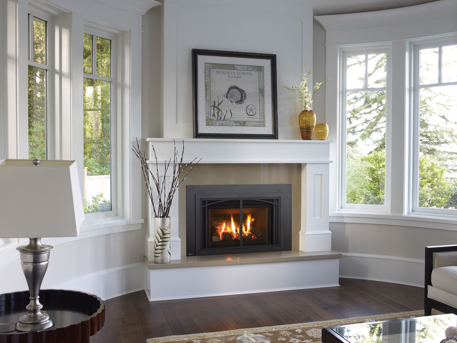 gas Fireplace Inserts Sonoma County
