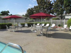 Design Services Sonoma & Napa Counties