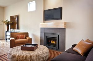 Gas Fireplace Inserts Sonoma County