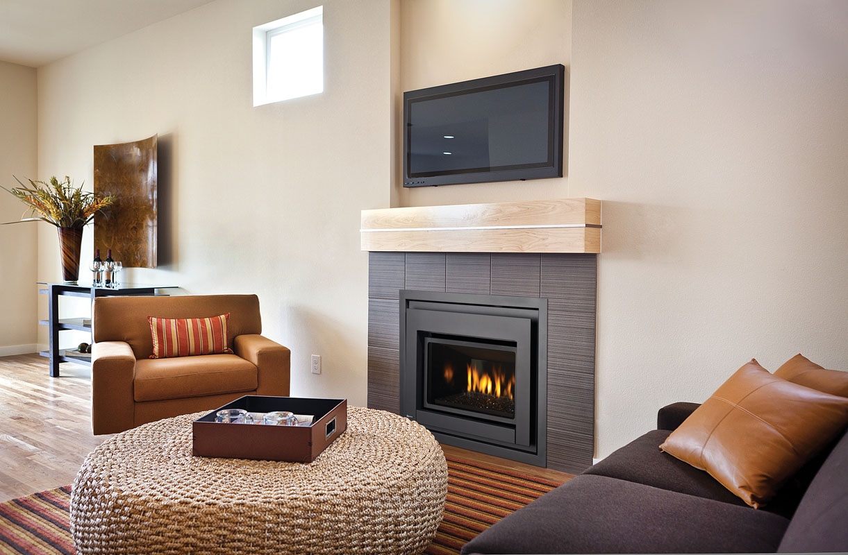 Gas Fireplace Inserts Sonoma County