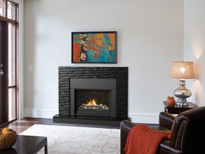 Gas Fireplace Inserts Sonoma County