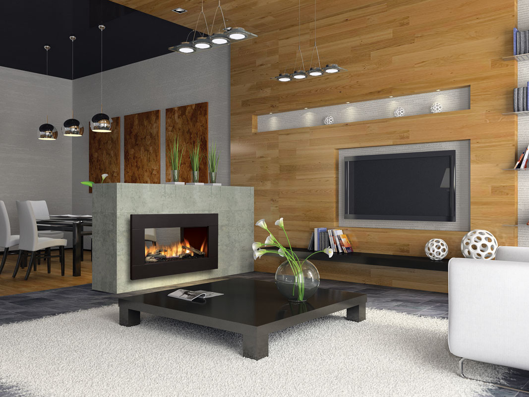 Gas Fireplace Inserts Sonoma