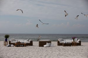 Outdoor Sofas Sonoma County