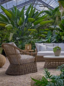 Sonoma County Lounge Chairs