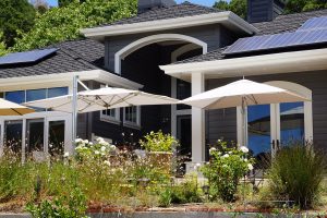 TUUCI Umbrellas Sonoma County