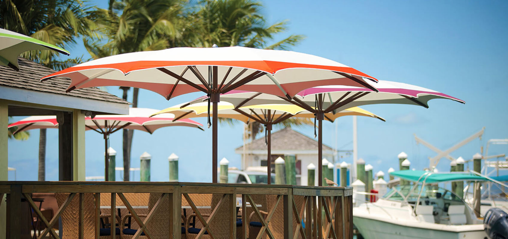 TUUCI Umbrellas Sonoma County