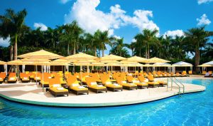 TUUCI Umbrellas Sonoma County