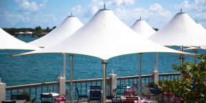 TUUCI Umbrellas Sonoma County