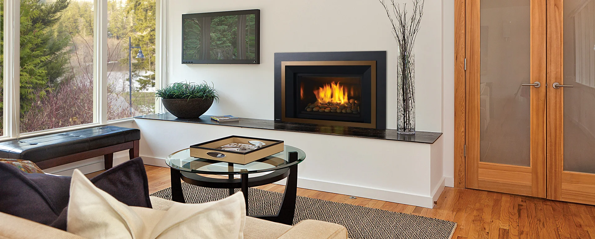Gas Fireplace Inserts Sonoma County